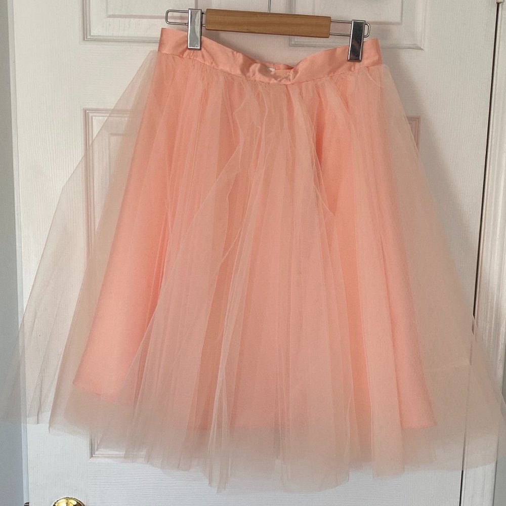 Space 46 Tulle Skirt in Dusty Blush